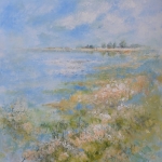Ankeveense Plassen Ankeveense Plassen