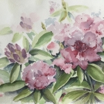 Rhododendron Rhododendron