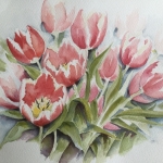 Rode tulpen Rode tulpen