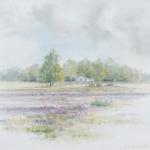 Gooische heide Gooische heide