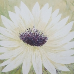 Floral 4 Floral 4