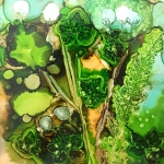 Natuur 5 Natuur 5