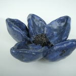 Blauwe bloem Blauwe bloem