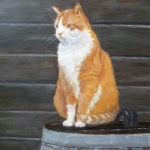 Kat op waterton Kat op waterton