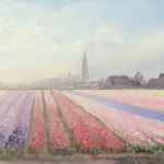 Hyacintenveld Hyacintenveld