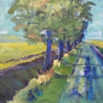 groninger landschap'Oude Pekela' groninger landschap'Oude Pekela'