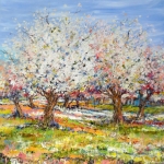 Blooming appletrees Blooming appletrees