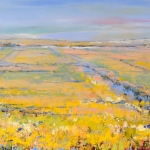 The cornfields The cornfields