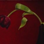 Tulp in fles Tulp in fles