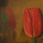 Tulp Tulp