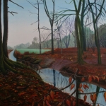 het reeshof bos het reeshof bos