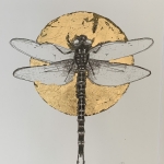 Dragonfly Dragonfly