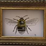 Hommel Hommel