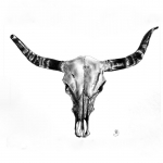 Nguni Nguni