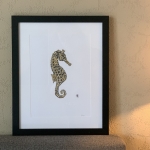 Sea horse Sea horse