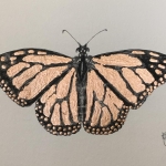Copper Butterfly Copper Butterfly