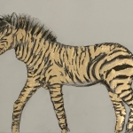 Cape Mountain Zebra Cape Mountain Zebra