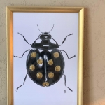 Beetle Beetle