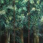 Bosrand Oxerkamp Bosrand Oxerkamp