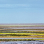 Waddenzee I Waddenzee I