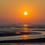 Golden sunrise Golden sunrise