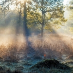 Mystiek Slenerzand Mystiek Slenerzand