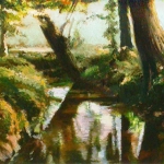 Beek in de zomer Beek in de zomer