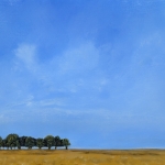 Terletse heide Terletse heide