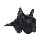 The Dog 2 The Dog 2