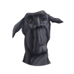 The Dog 4 The Dog 4