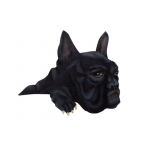 The Dog 6 The Dog 6