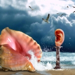 Hoor, het ruisen van de zee Hoor, het ruisen van de zee