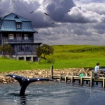 Haus am See Haus am See