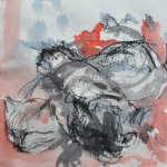 kattenkluwen kattenkluwen
