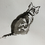 poes poes
