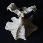 guardian angel guardian angel