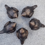 vogeltje van neolith vogeltje van neolith