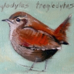 Winterkoninkje - Troglodytes troglodytes Winterkoninkje - Troglodytes troglodytes