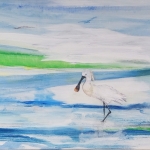 Lepelaar op het wad Verkocht Lepelaar op het wad Verkocht