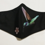 Black hummingbird Black hummingbird