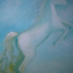 paard paard