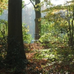 Elfenbankje Elfenbankje