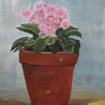 Bloemetje in grote pot Bloemetje in grote pot