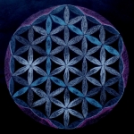 Flower of Life Flower of Life