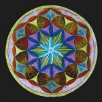 Flower of Life Flower of Life
