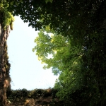 Poort Poort
