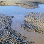 Zandribbels aan zee Zandribbels aan zee