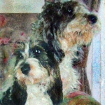 Hondjes Hondjes