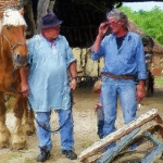 Paardensmid Paardensmid