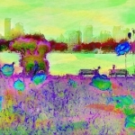 Kralingse plas vibrant Kralingse plas vibrant